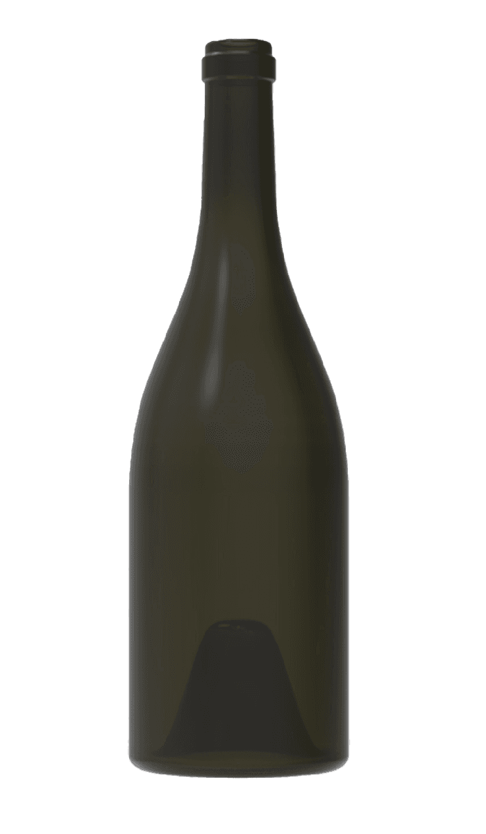 Contemporary 750 ml wine bottle
